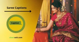 Best Saree Caption